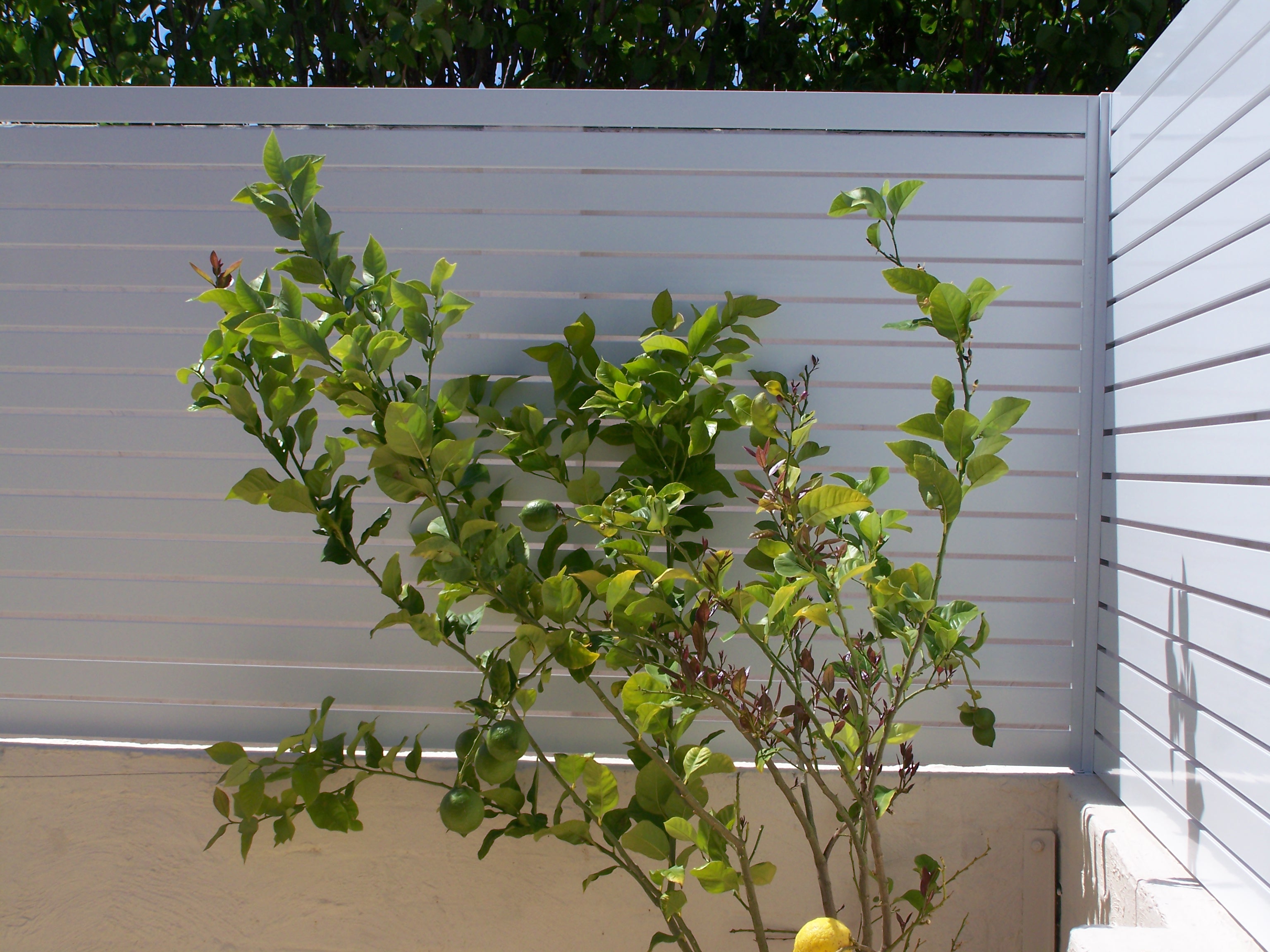 alumium-fencing05