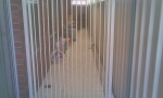 gates04