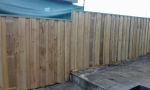 timberfencing05