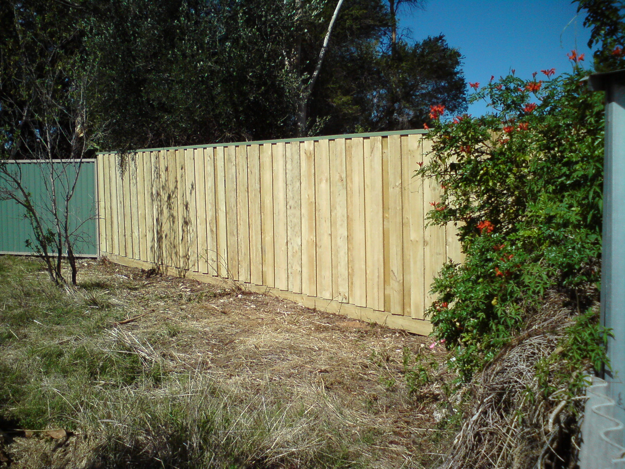 timberfencing04